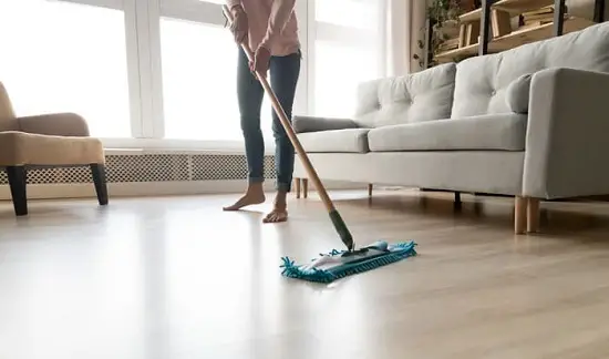 How to clean your house after worms