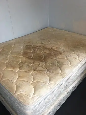 What does mold on a mattress look like